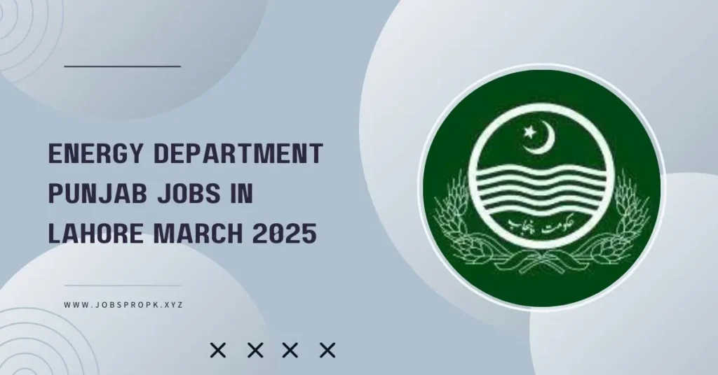 Energy Department logo representing government initiatives in energy management, sustainability, and power solutions for Punjab.